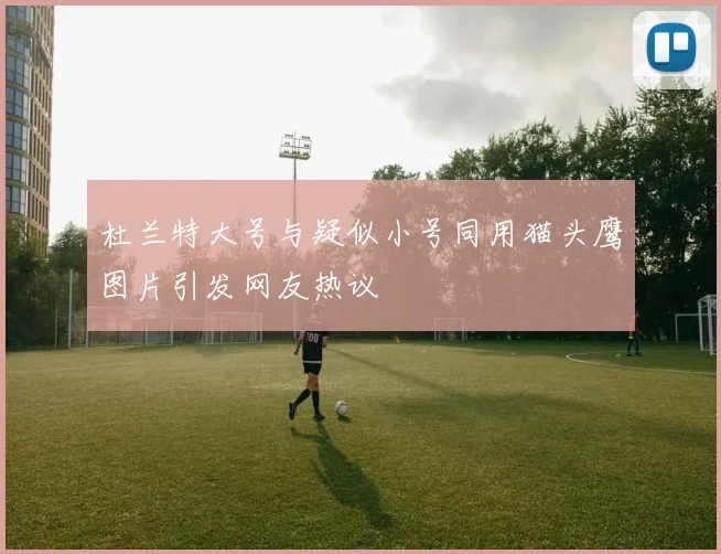 杜兰特大号与疑似小号同用猫头鹰图片引发网友热议