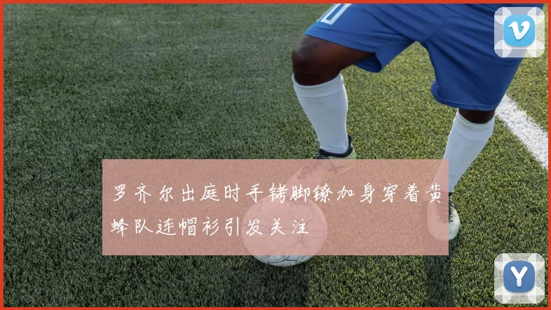 罗齐尔出庭时手铐脚镣加身穿着黄蜂队连帽衫引发关注
