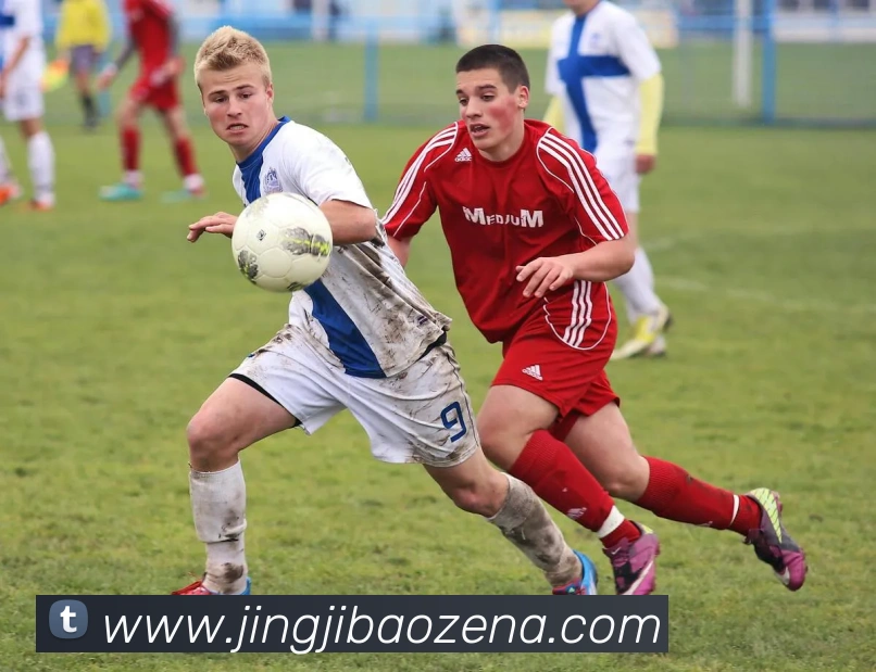 App Interface Preview